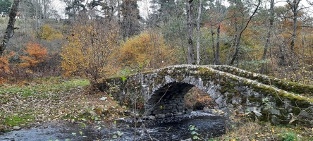 20211102 143417 petite